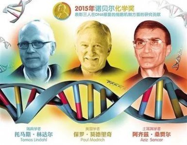 ​转基因食品危害性大吗？